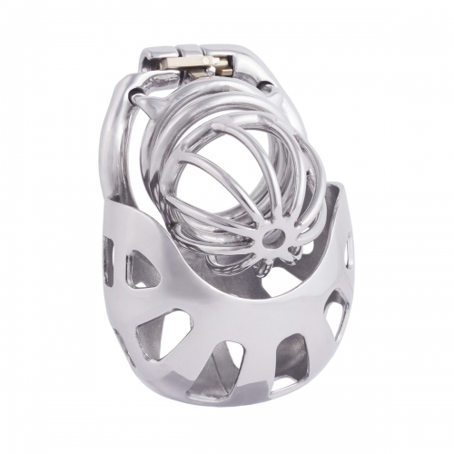 TERNENCE Metal Chastity Cage Device with Ergonomic Design Wrapped Scrotum Ring for Male SM Penis Exercise Sex Toys