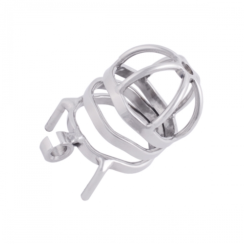 TERNENCE Male Cock Cage Stainless Steel Chastity Device ​Closed Ring (only cages do not include rings and locks)
